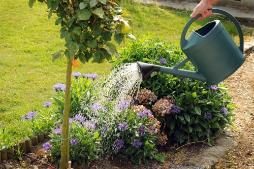 A person watering a garden bed with a green watering can, surrounded by flowering plants and lush greenery. The garden area features a neatly maintained lawn, with a small tree supported by a wooden stake and a variety of flowering shrubs, including purple and brownish blossoms. The soil is visible in some parts, bordered by a low edge of wooden planks. The background shows a well-kept garden with additional plants and a paved pathway. The scene suggests a well-maintained outdoor space typical of residential gardens in Shoreditch, with natural lighting indicating a clear day, and the overall appearance emphasizing healthy, cultivated plants and attentive garden care provided by local gardening services.