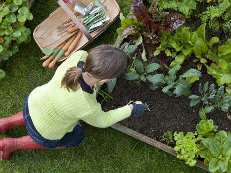 Overview of key garden services and checklist